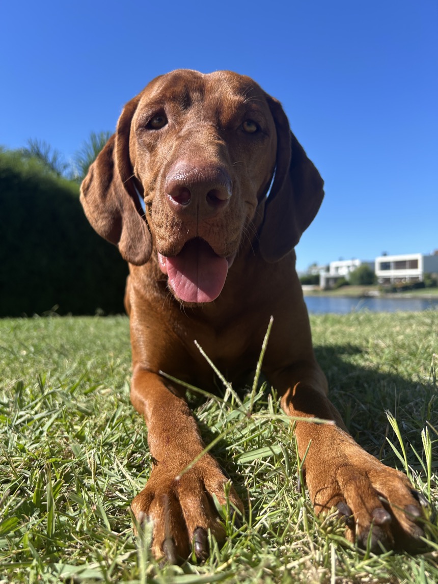 Milka